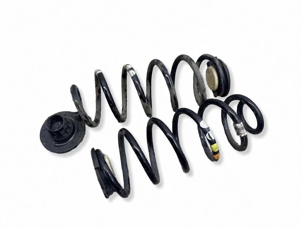 Rear coil spring 9860677880