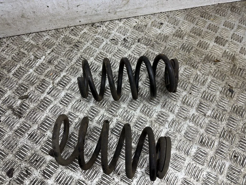 Rear coil spring