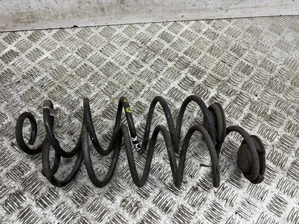 Rear coil spring