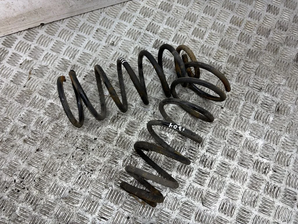 Rear coil spring