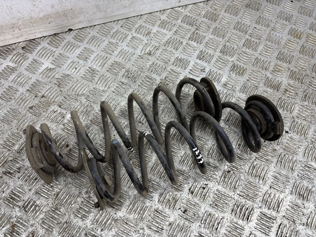 Rear coil spring