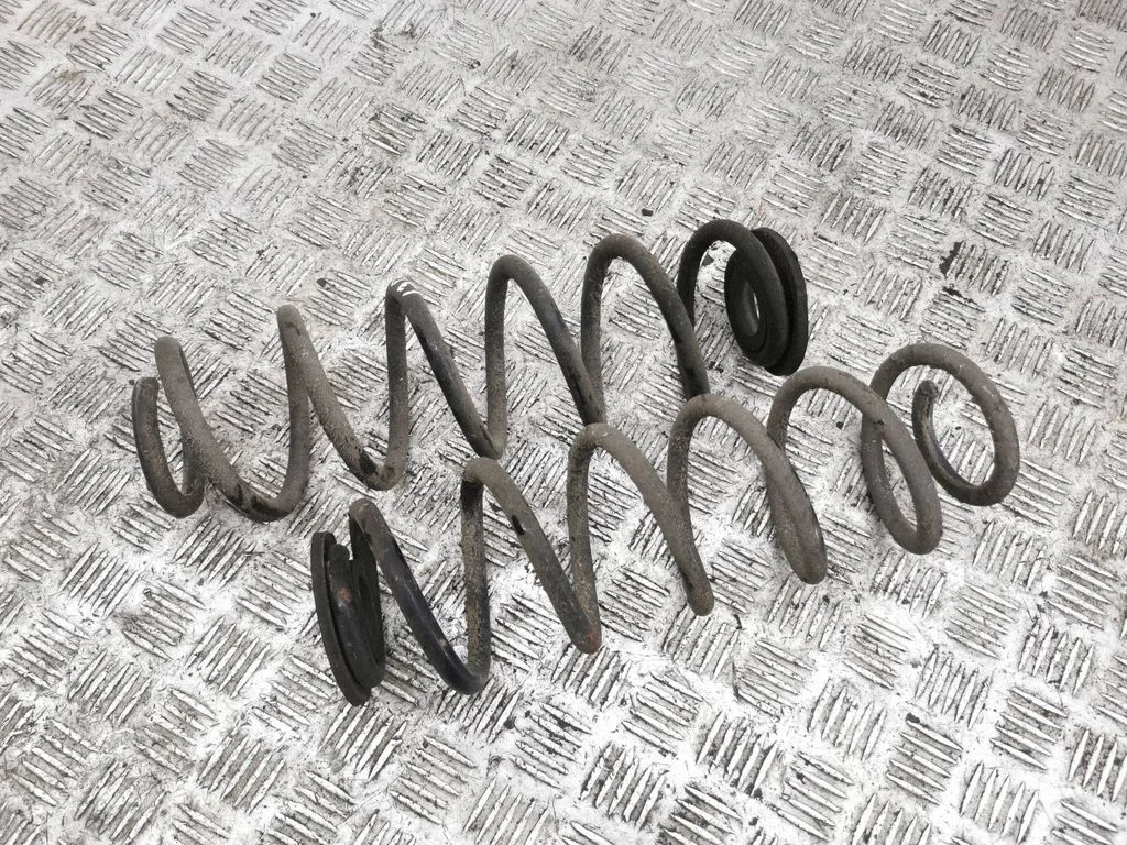Rear coil spring