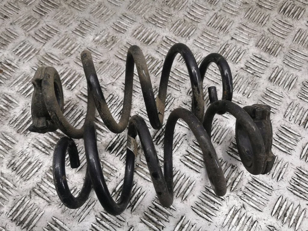 Rear coil spring