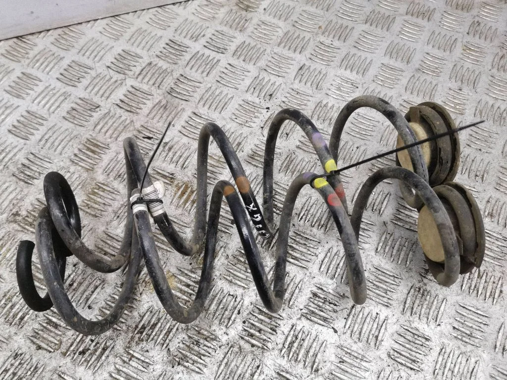 Rear coil spring