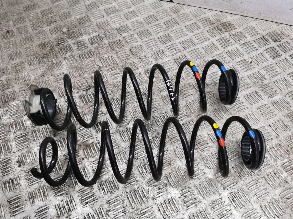 Rear coil spring