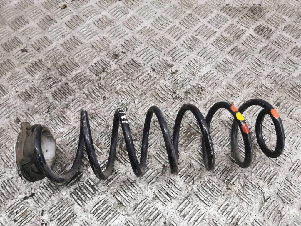 Rear coil spring