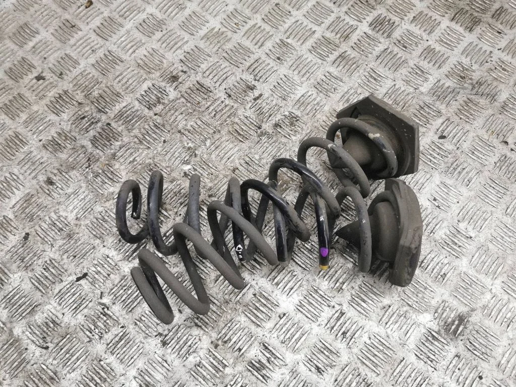 Rear coil spring