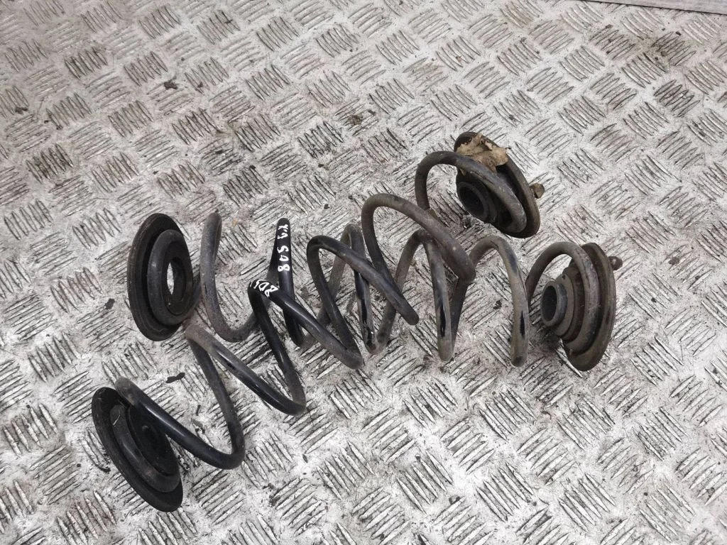 Rear coil spring