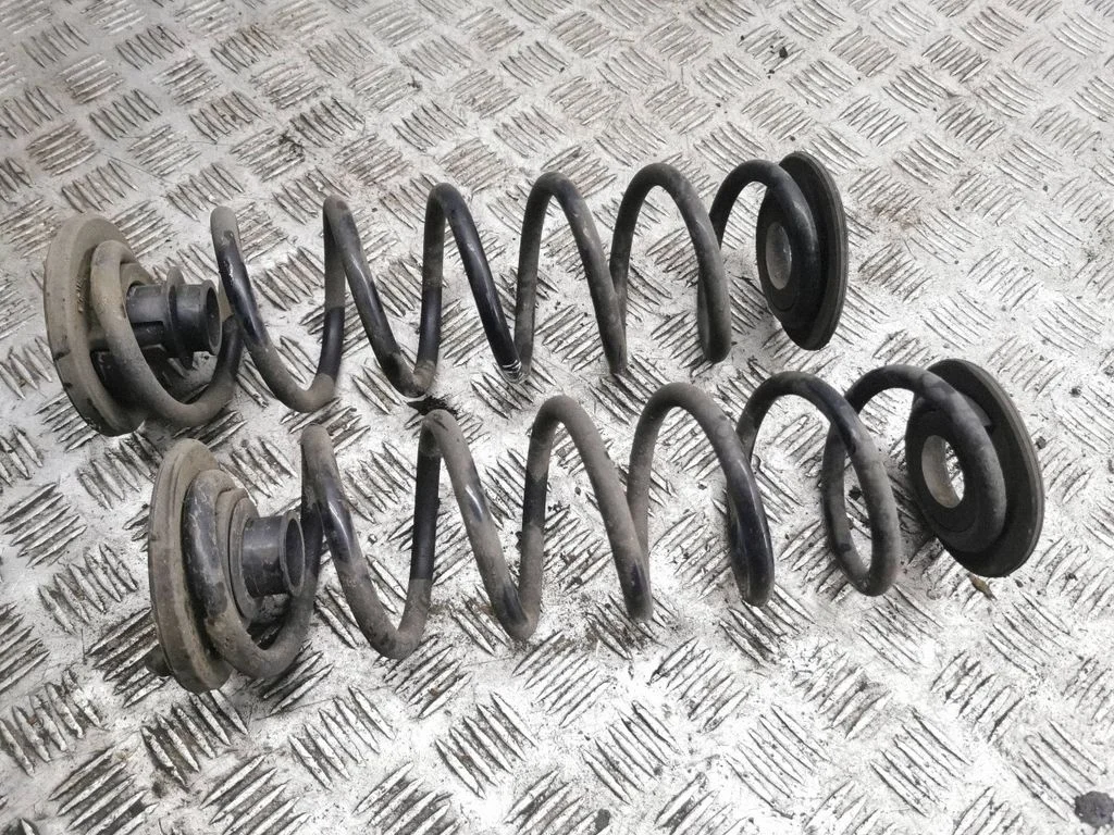 Rear coil spring