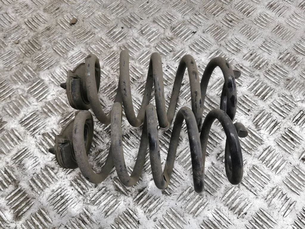 Rear coil spring