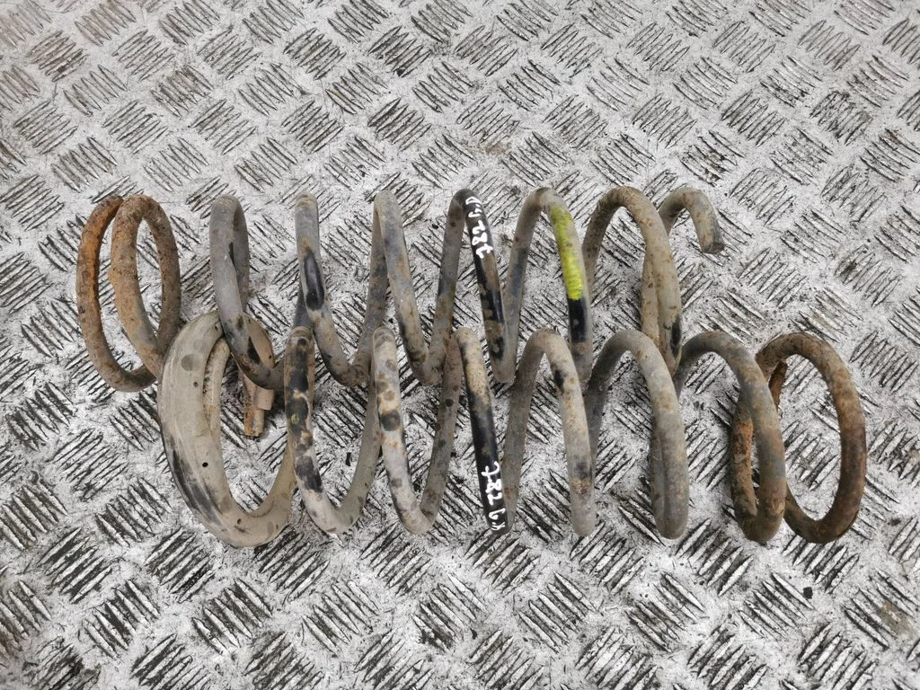 Rear coil spring