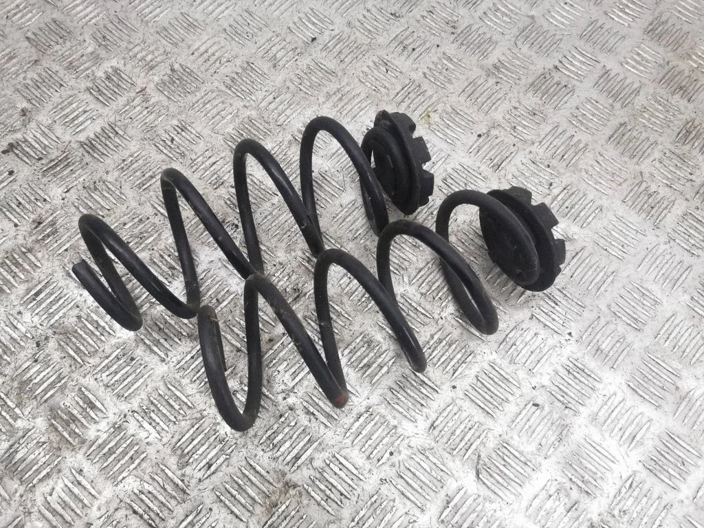 Rear coil spring