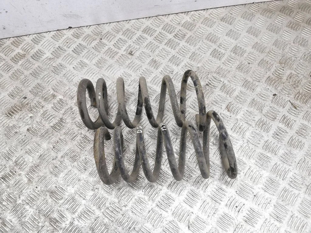 Rear coil spring