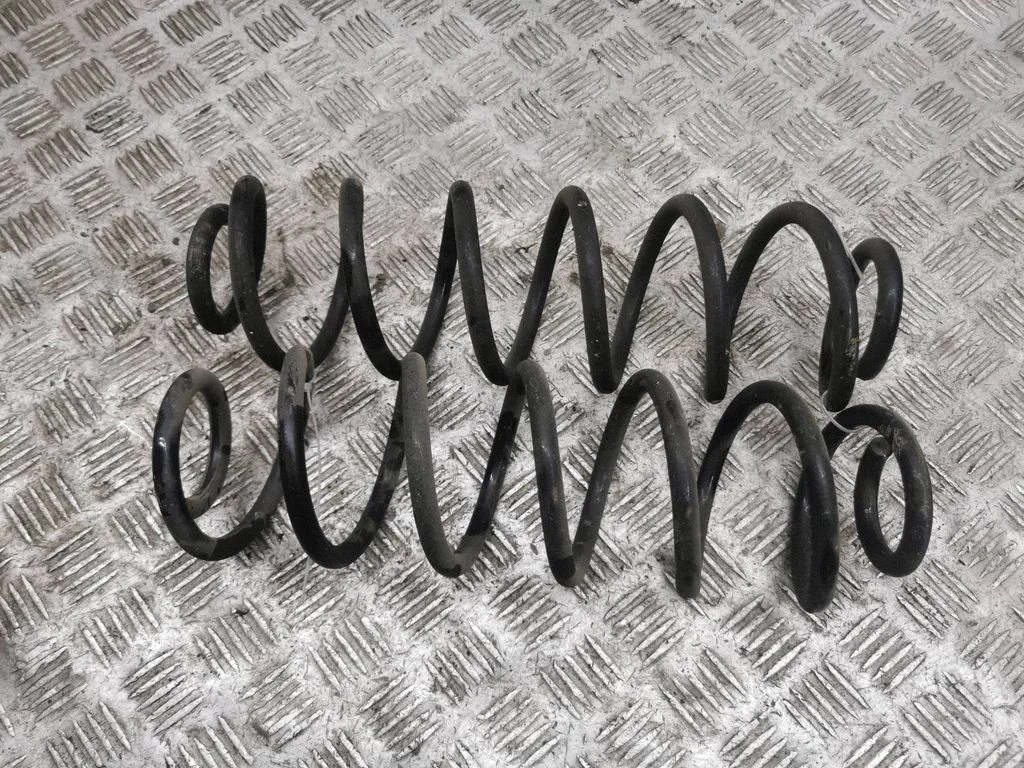 Rear coil spring