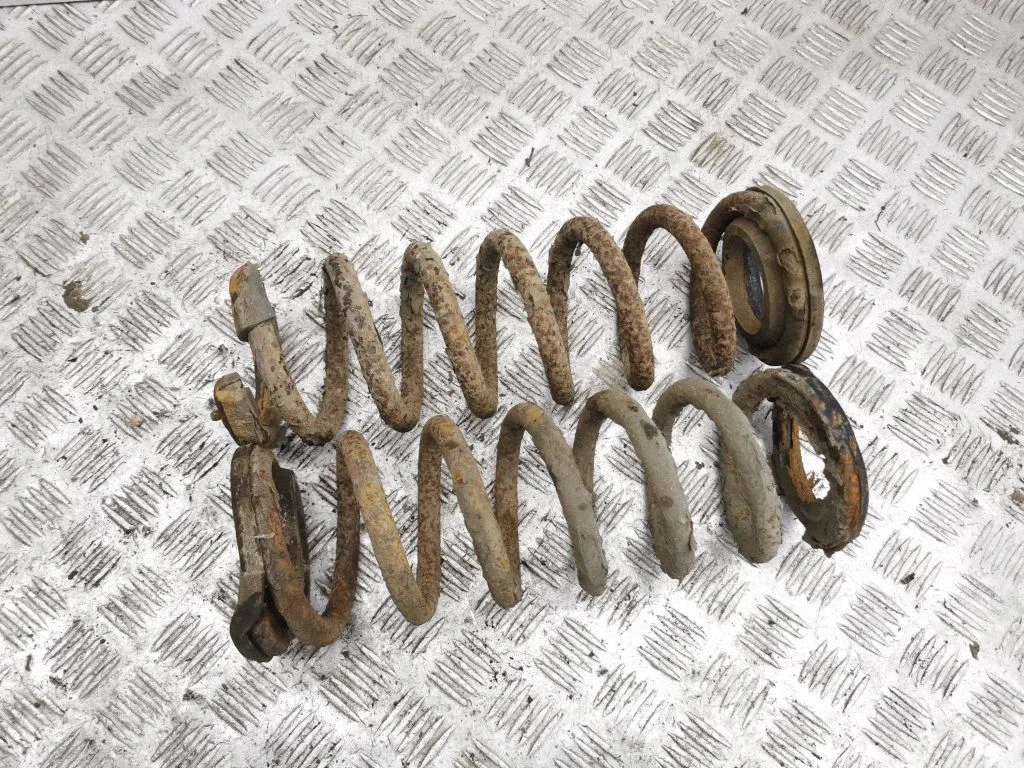 Rear coil spring