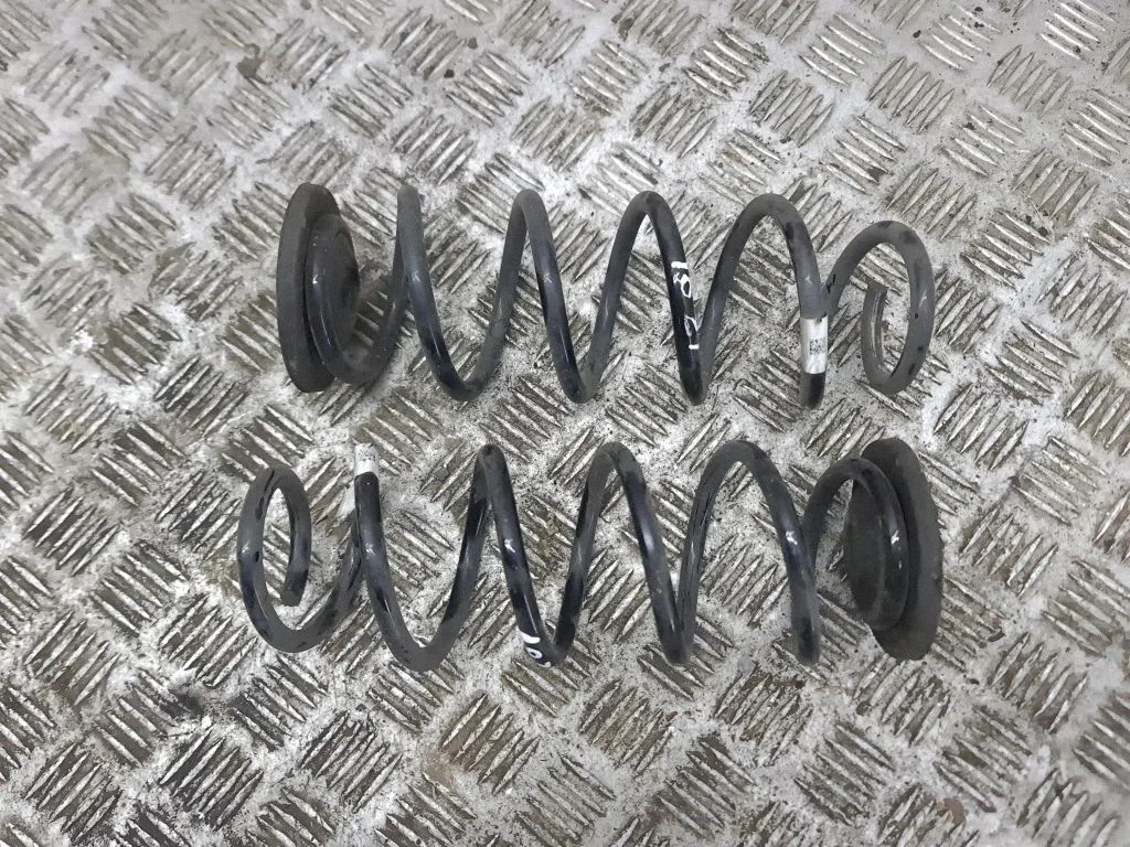 Rear coil spring