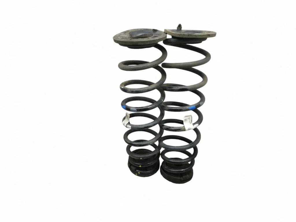 Rear coil spring