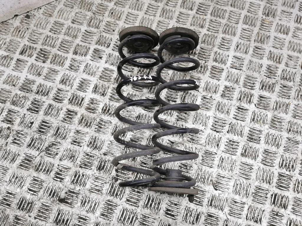 Rear coil spring