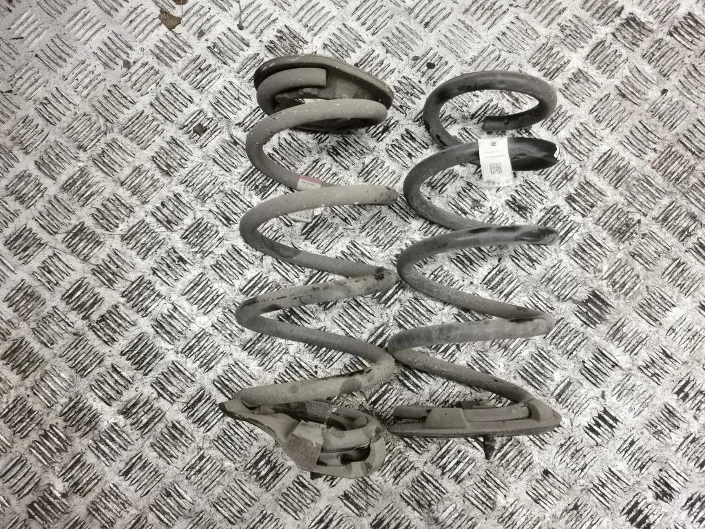Rear coil spring 104447201E