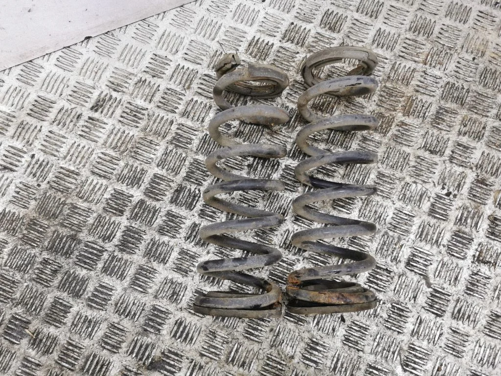 Rear coil spring