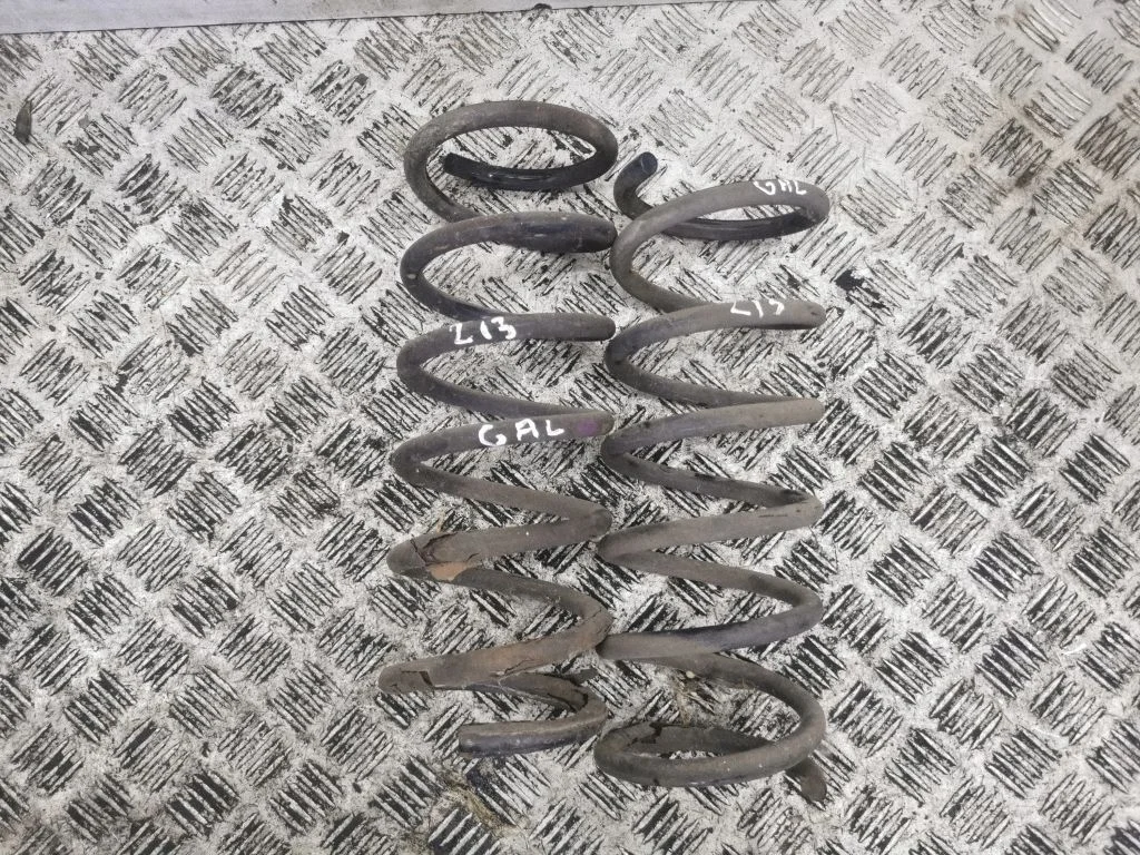 Rear coil spring