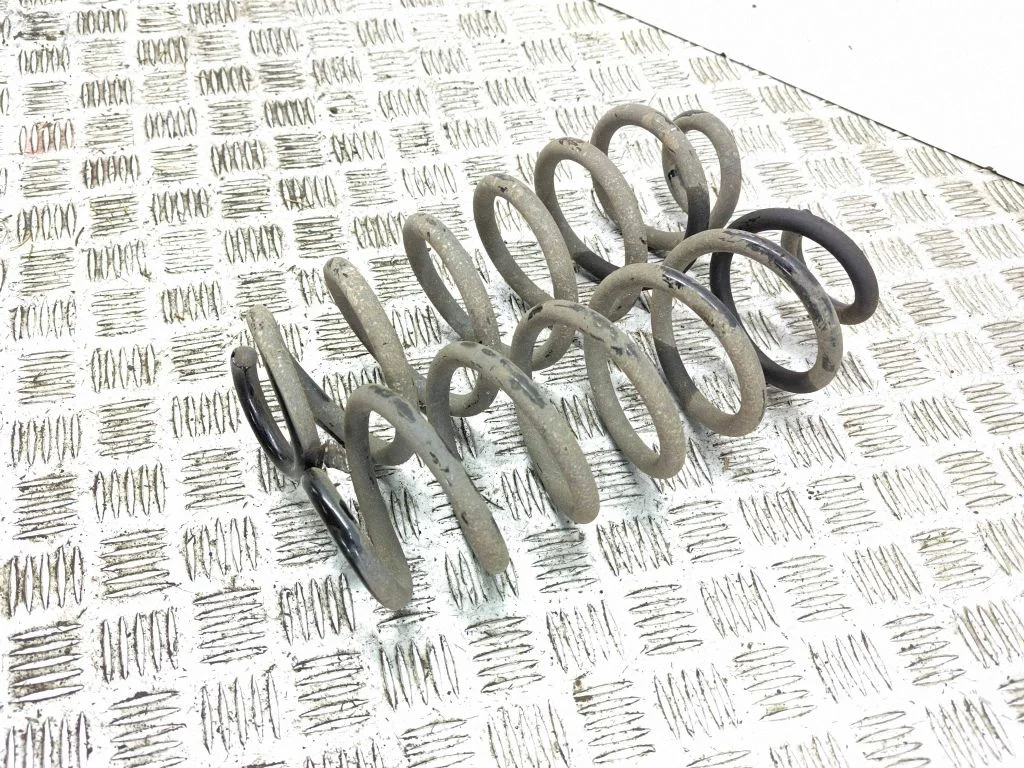 Rear coil spring