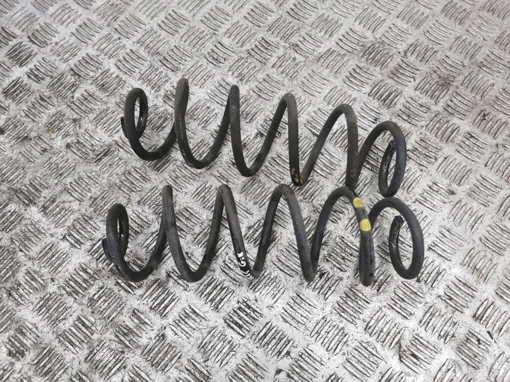 Rear coil spring