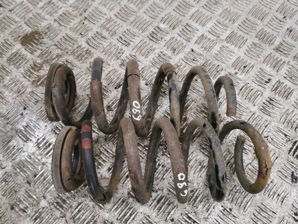 Rear coil spring