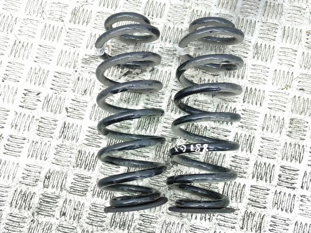 Rear coil spring