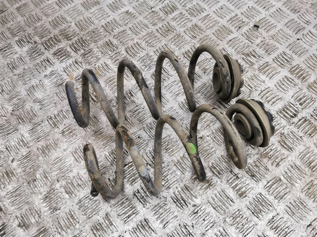 Rear coil spring