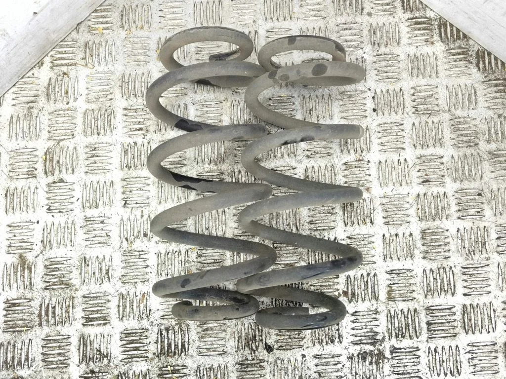 Rear coil spring