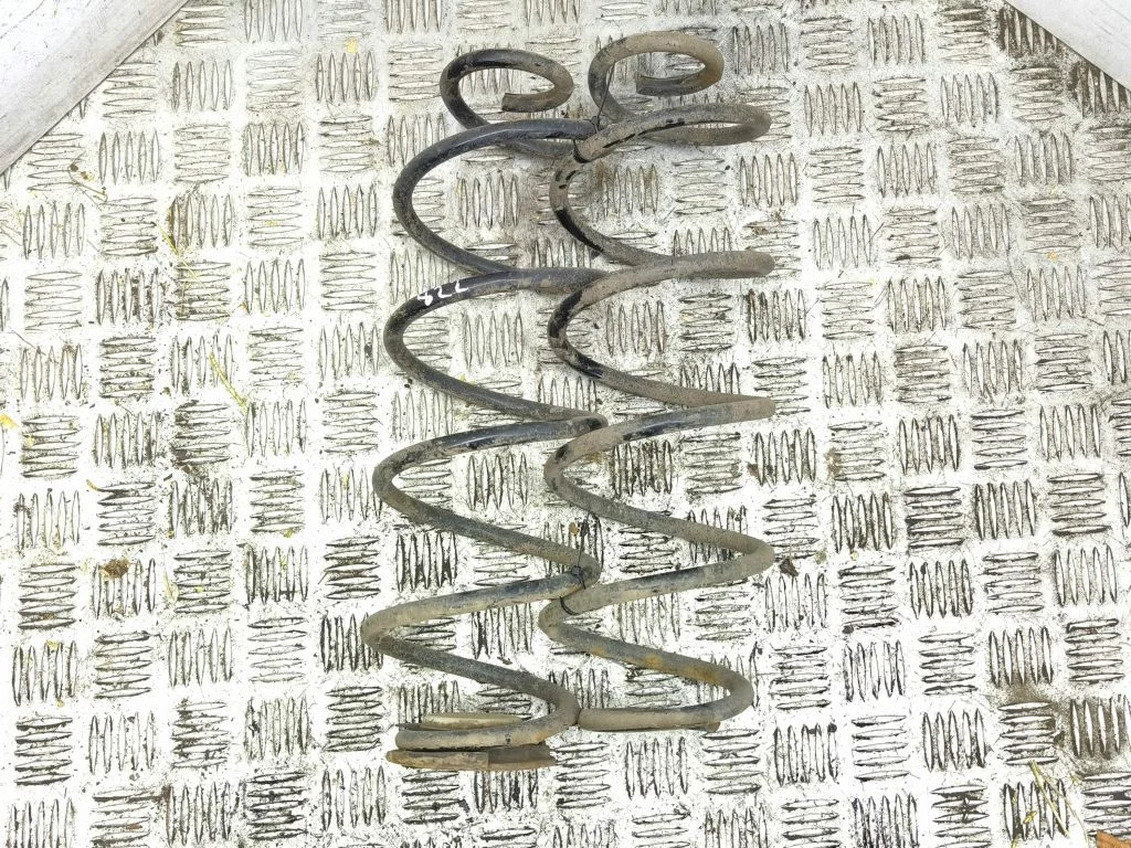 Rear coil spring