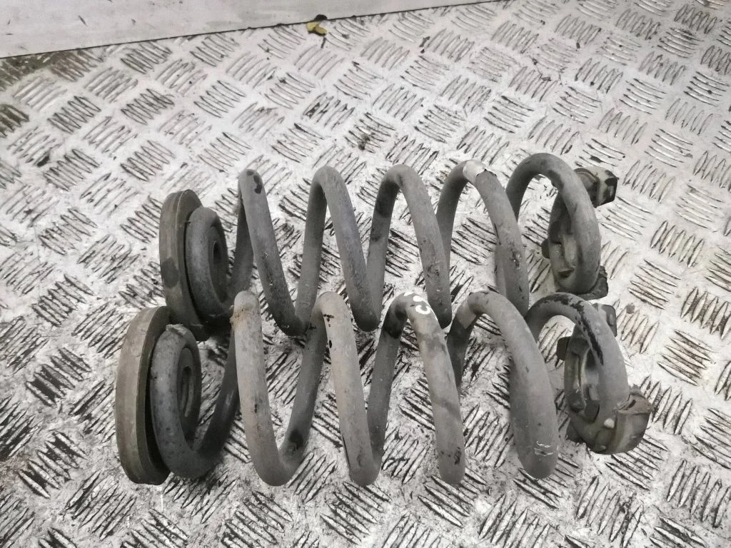 Rear coil spring