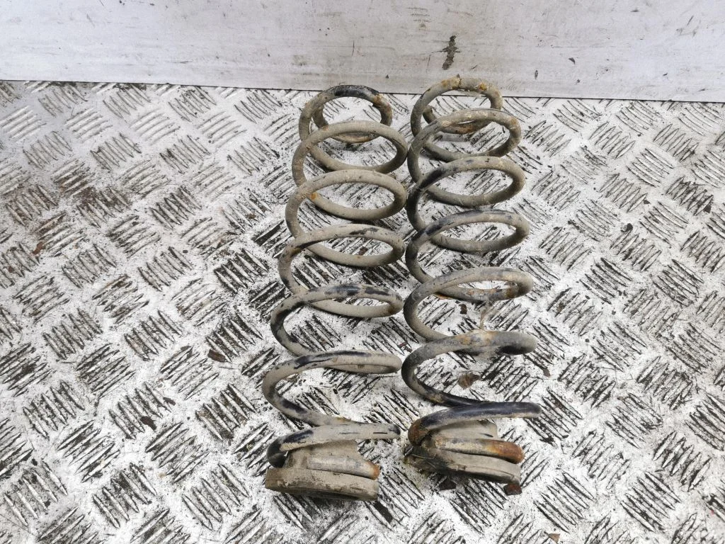 Rear coil spring
