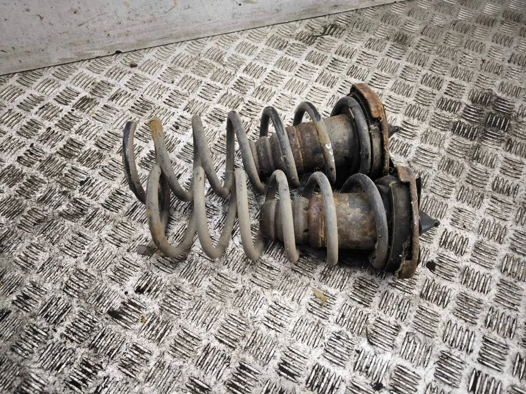 Rear coil spring