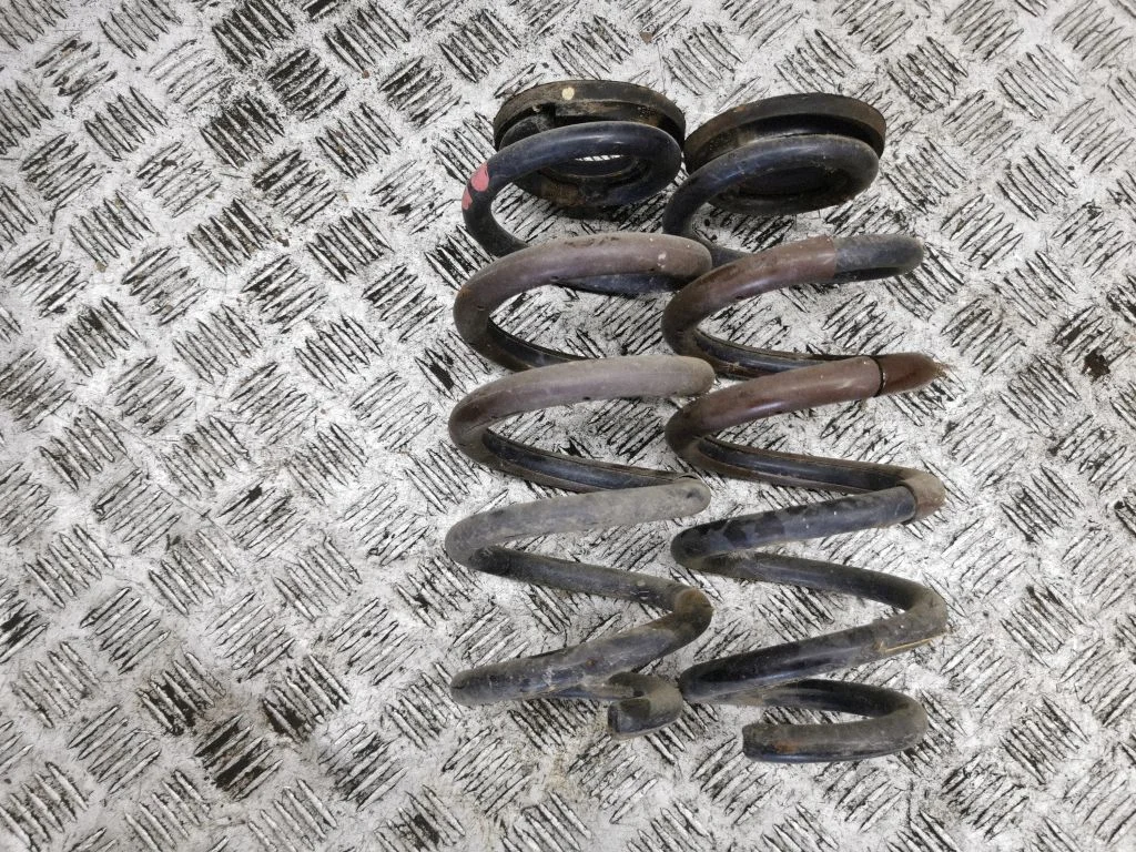Rear coil spring