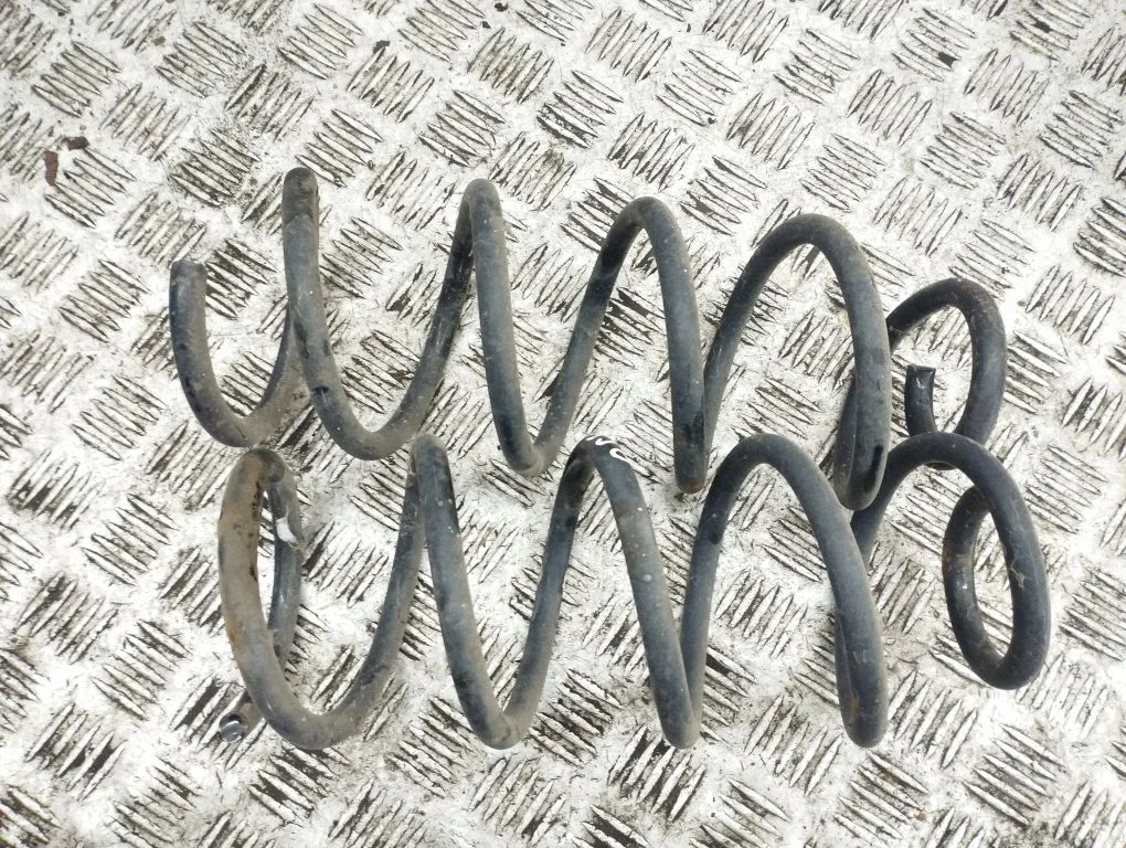 Rear coil spring