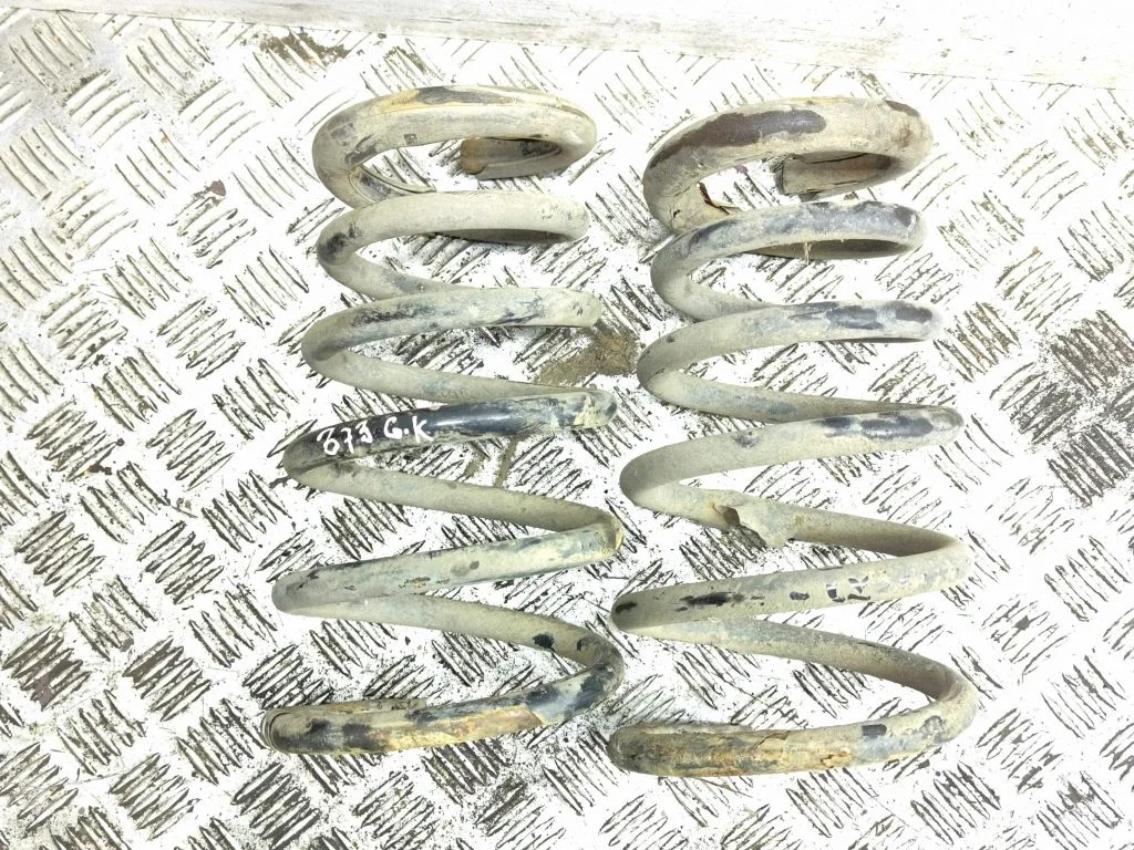 Rear coil spring