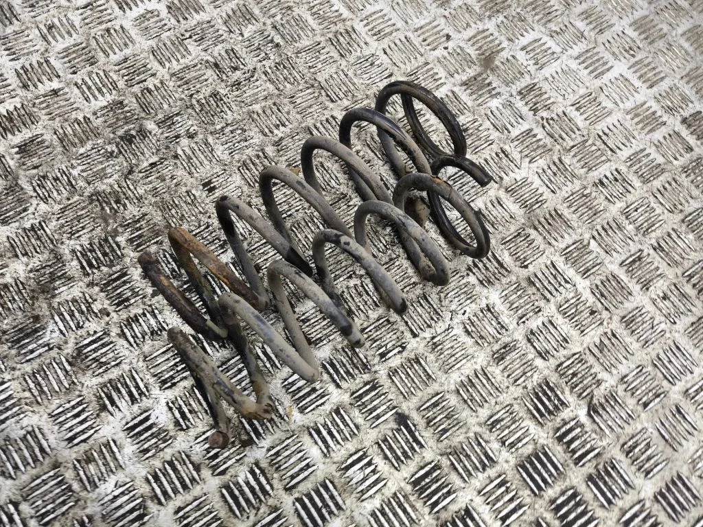 Rear coil spring