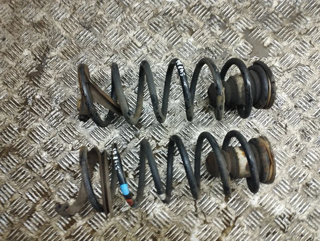 Rear coil spring
