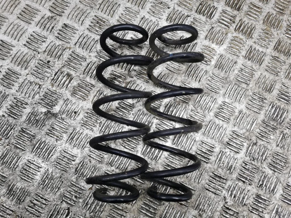 Rear coil spring