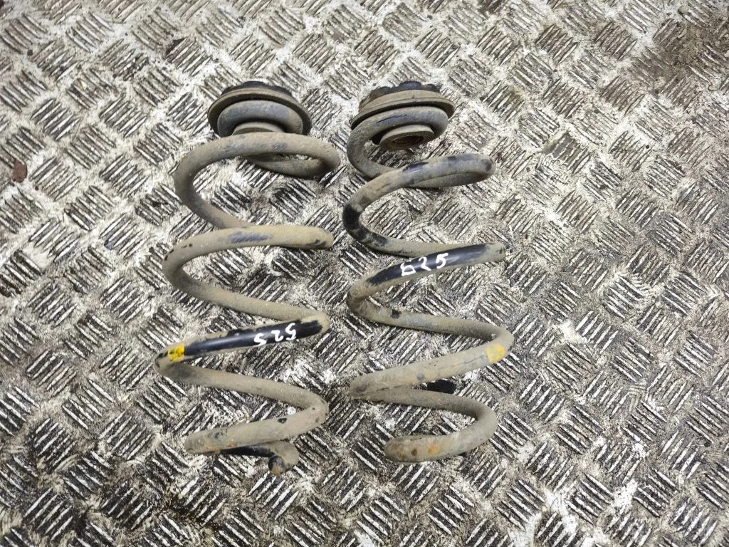 Rear coil spring
