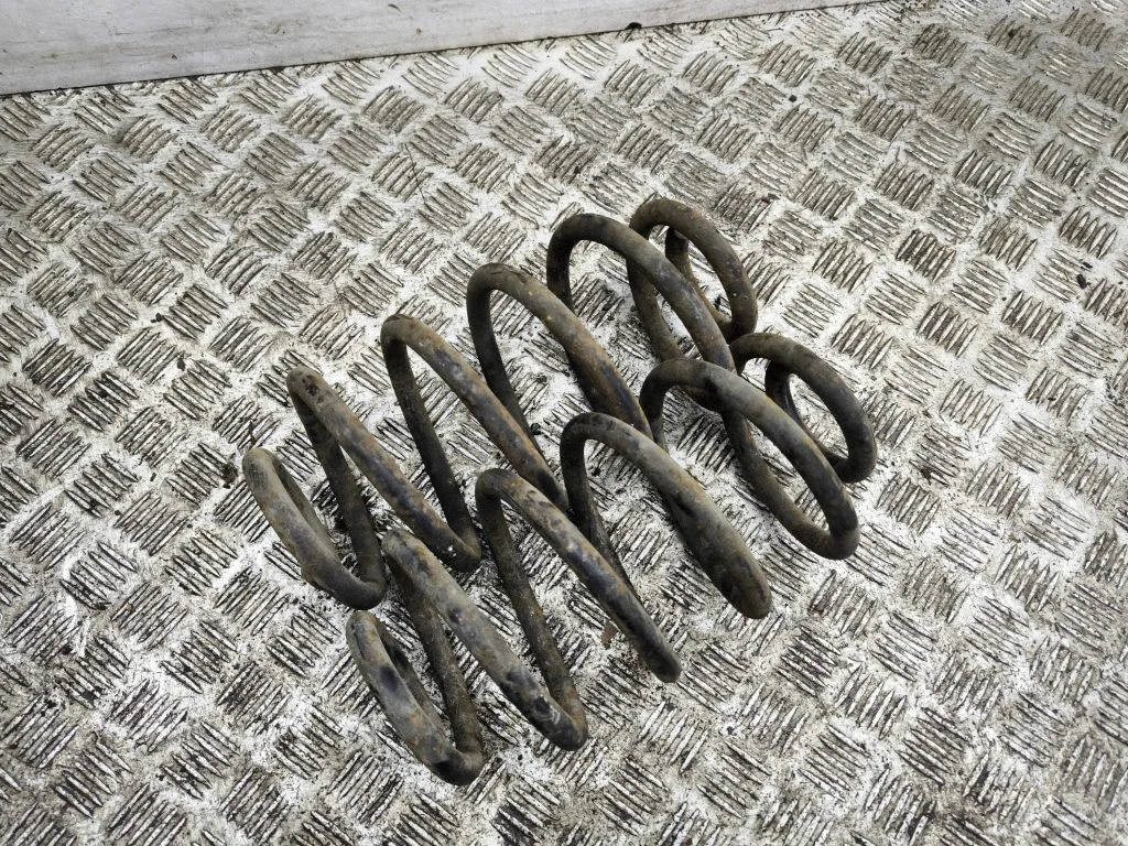 Rear coil spring