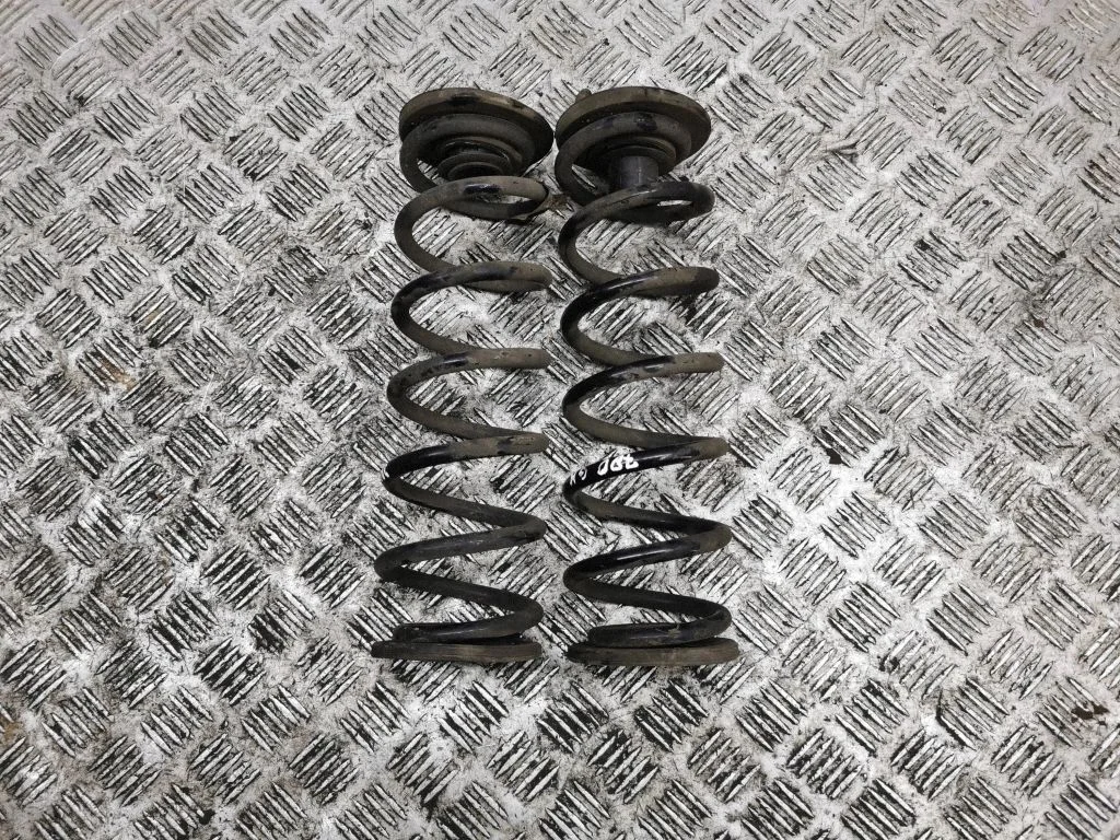 Rear coil spring