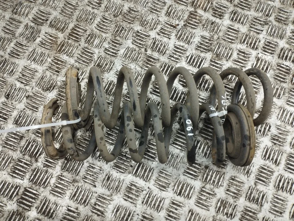 Rear coil spring