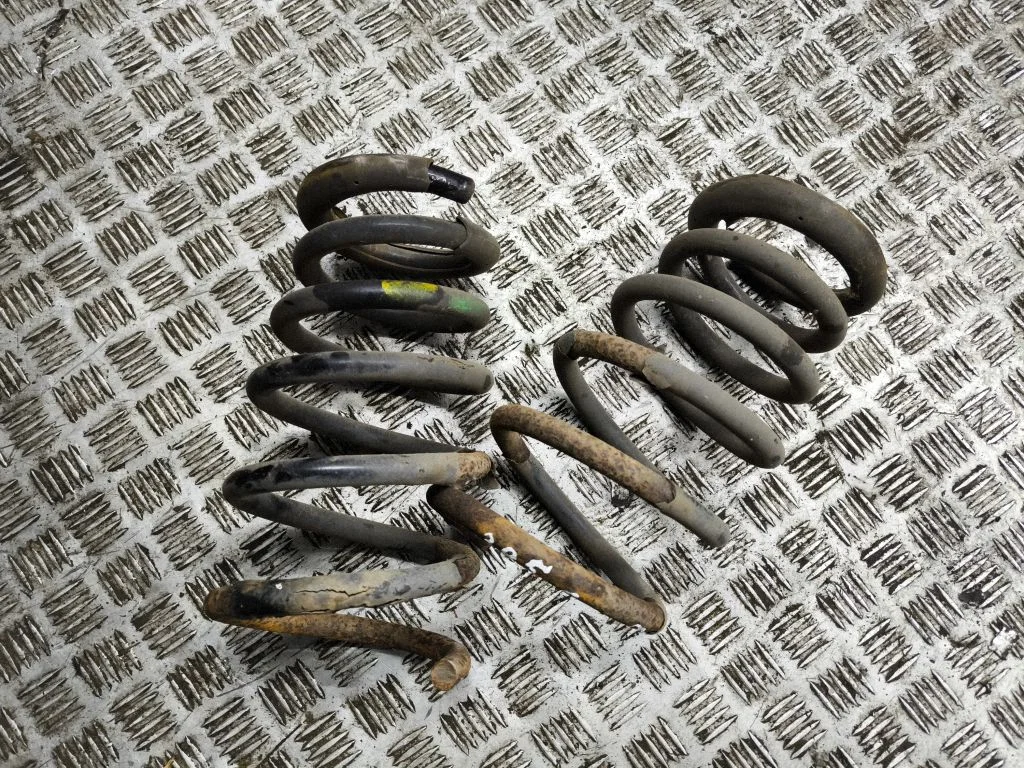 Rear coil spring