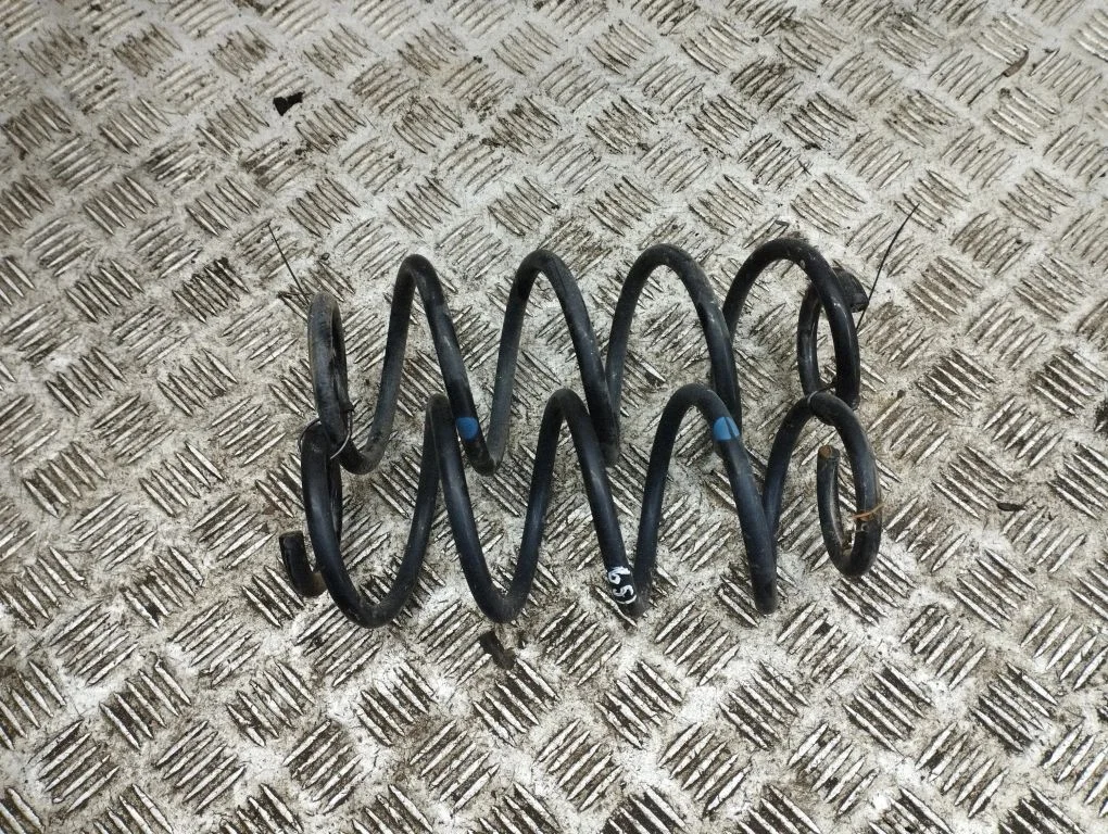 Rear coil spring