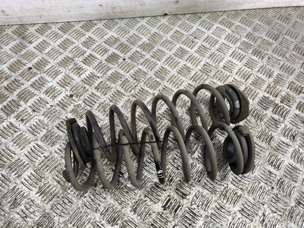 Rear coil spring
