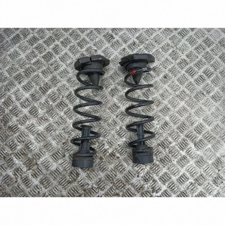 Tagumine keerdvedru