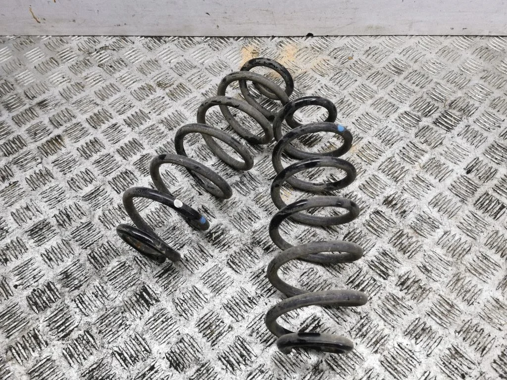 Rear coil spring